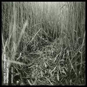 大炕上破苞流血
